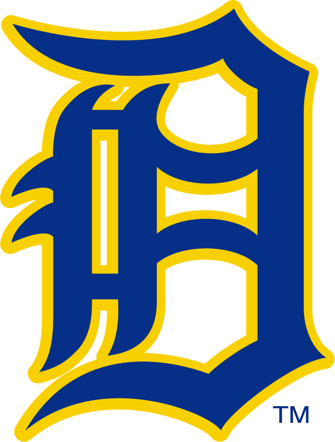 Delaware Blue Hens 1955-1967 Primary Logo DIY iron on transfer (heat transfer)